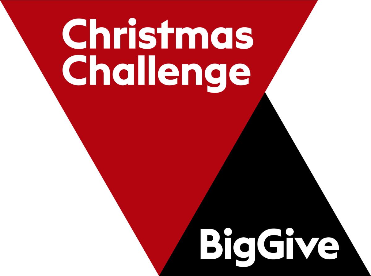BigGive Christmas Challenge
